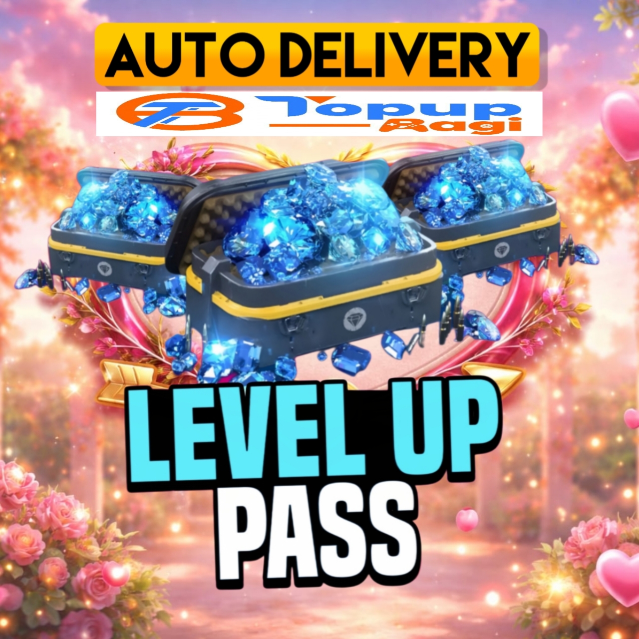 LEVEL UP PASS 